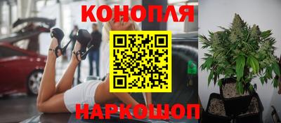 индика Ликино-Дулёво