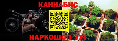 индика Ликино-Дулёво