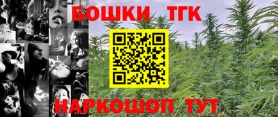 индика Ликино-Дулёво