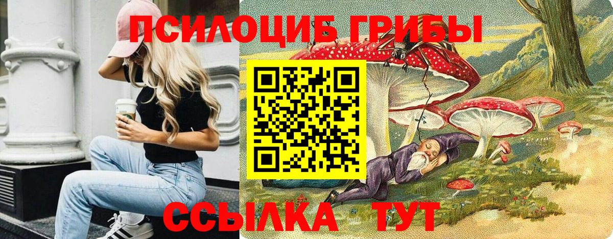 Псилоцибиновые грибы Psilocybine cubensis  Вход с VPN  Амурск 